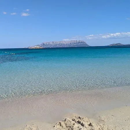 Hébergement de vacances Supreme Location With Pool At Cala Sassari